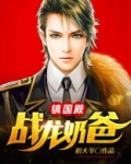 镇国殿:战龙奶爸