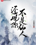 还说你不是仙人