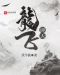 龙飞御天