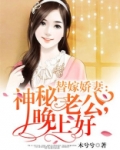 替嫁娇妻:神秘老公,晚上好