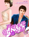 再婚蜜爱:帝少请克制