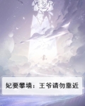 妃要攀墙:王爷请勿靠近