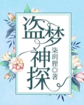 盗梦神探