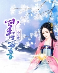 妙手毒妻不可欺