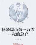 杨幂周小东一万零一夜的总介