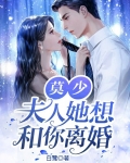 莫少,夫人她想和你离婚