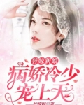 替嫁新娘:病娇冷少宠上天