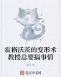霍格沃茨的变形术教授总要搞事情