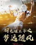 羽毛球王子之梦远随风