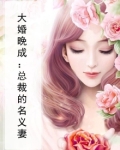 大婚晚成:总裁的名义妻