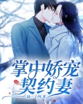 掌中娇宠契约妻