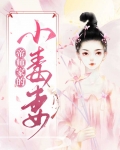 帝师家的小毒妻