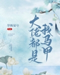 大佬都是我马甲
