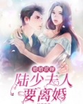 婚婚欲睡:陆少夫人要离婚