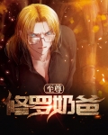 至尊修罗奶爸