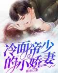 冷面帝少的小娇妻