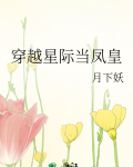 穿越星际当凤皇