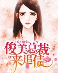 天才萌宝:俊美总裁来追债