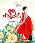 天才小毒妃（芸汐传）