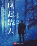 全职高手之风起散人