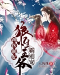 神医萌妃:狼性王爷霸道宠