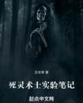 死灵术士实验笔记