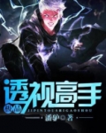 极品透视高手