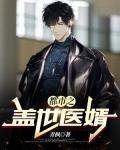 都市之盖世医婿