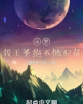 斗罗:我王圣绝不做配角