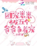 团宠崽崽被五个爸爸争着宠