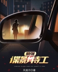 最强谍影特工