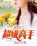 都市之超级高手