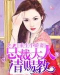 重生小娇妻:总裁大人请赐教