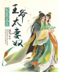 王爷太妻奴