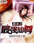 都市之最强仙尊