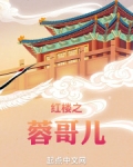 红楼之蓉哥儿