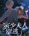 宗少夫人别逃了