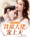 娇妻太甜,首席大佬宠上天