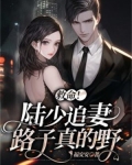 救命!陆少追妻路子真的野
